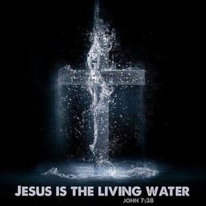 Meet your Posher, Stephen